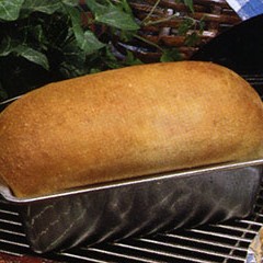 https://www.bridgford.com/bread/wp-content/uploads/2015/07/barbecue-bread-240x240.jpg